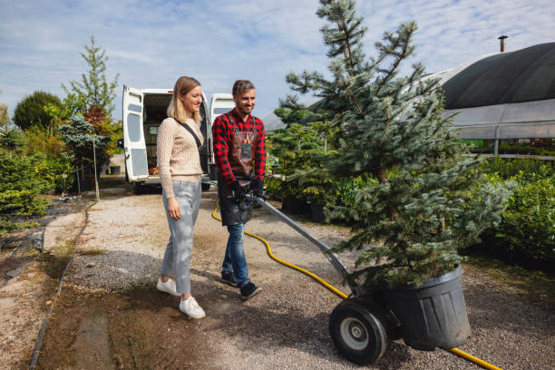 Tree Service Company in Keasbey, NJ